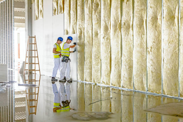 Best Insulation for Specific Applications in Muscoy, CA